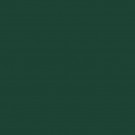 RAL6005 «Bergen» thumbnail